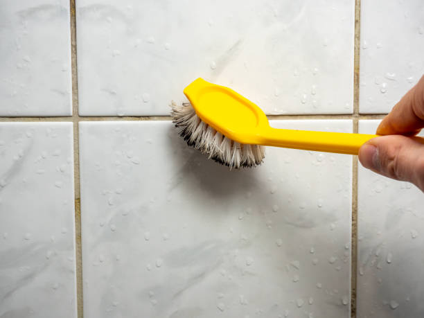 Anthony, NM Mold Remediation Company