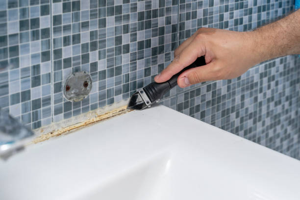 Best Mold Testing and Inspection Services in Anthony, NM